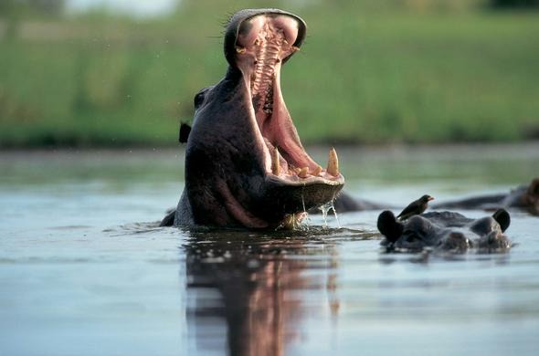 Lake Baringo