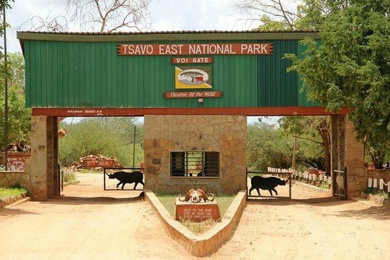 Tsavo East