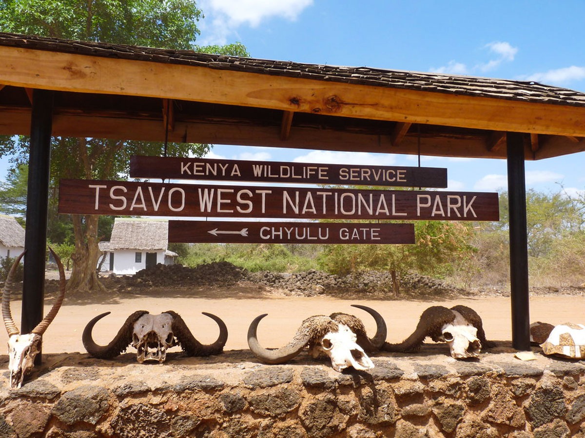 in Tsavo West National Park